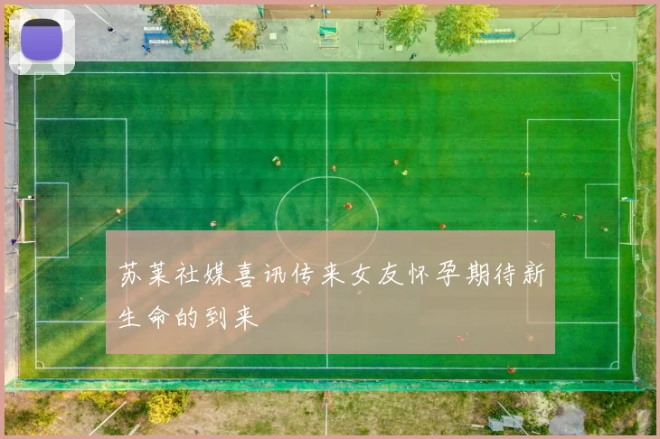 苏莱社媒喜讯传来女友怀孕期待新生命的到来