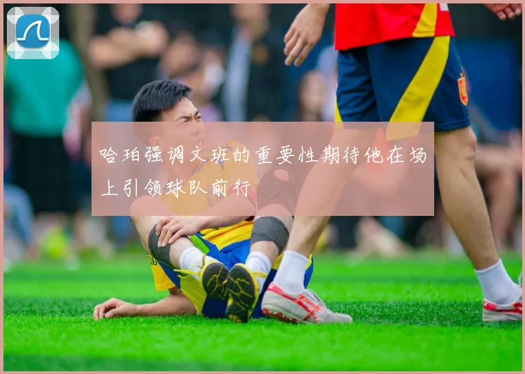 哈珀强调文班的重要性期待他在场上引领球队前行